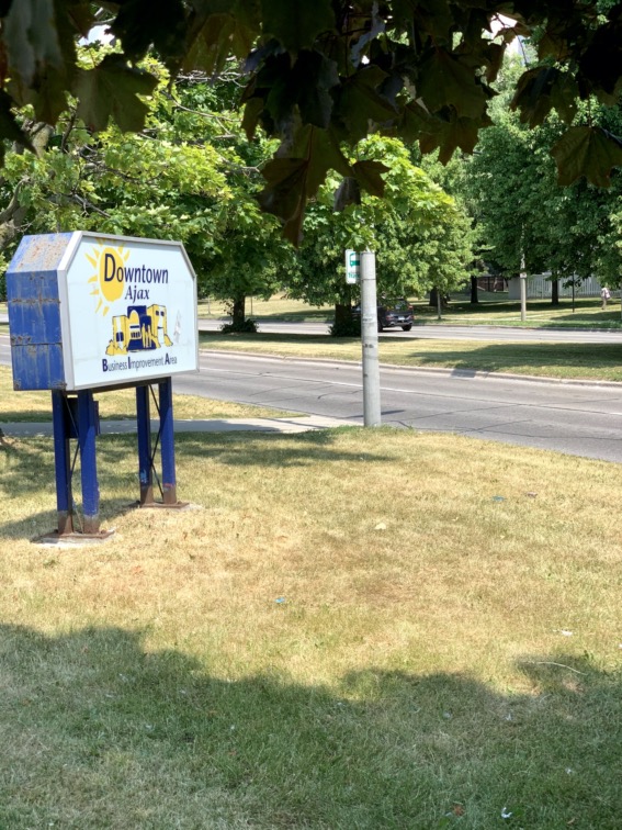 Sign under tree showing Downtown Ajax: Business Improvement Area.