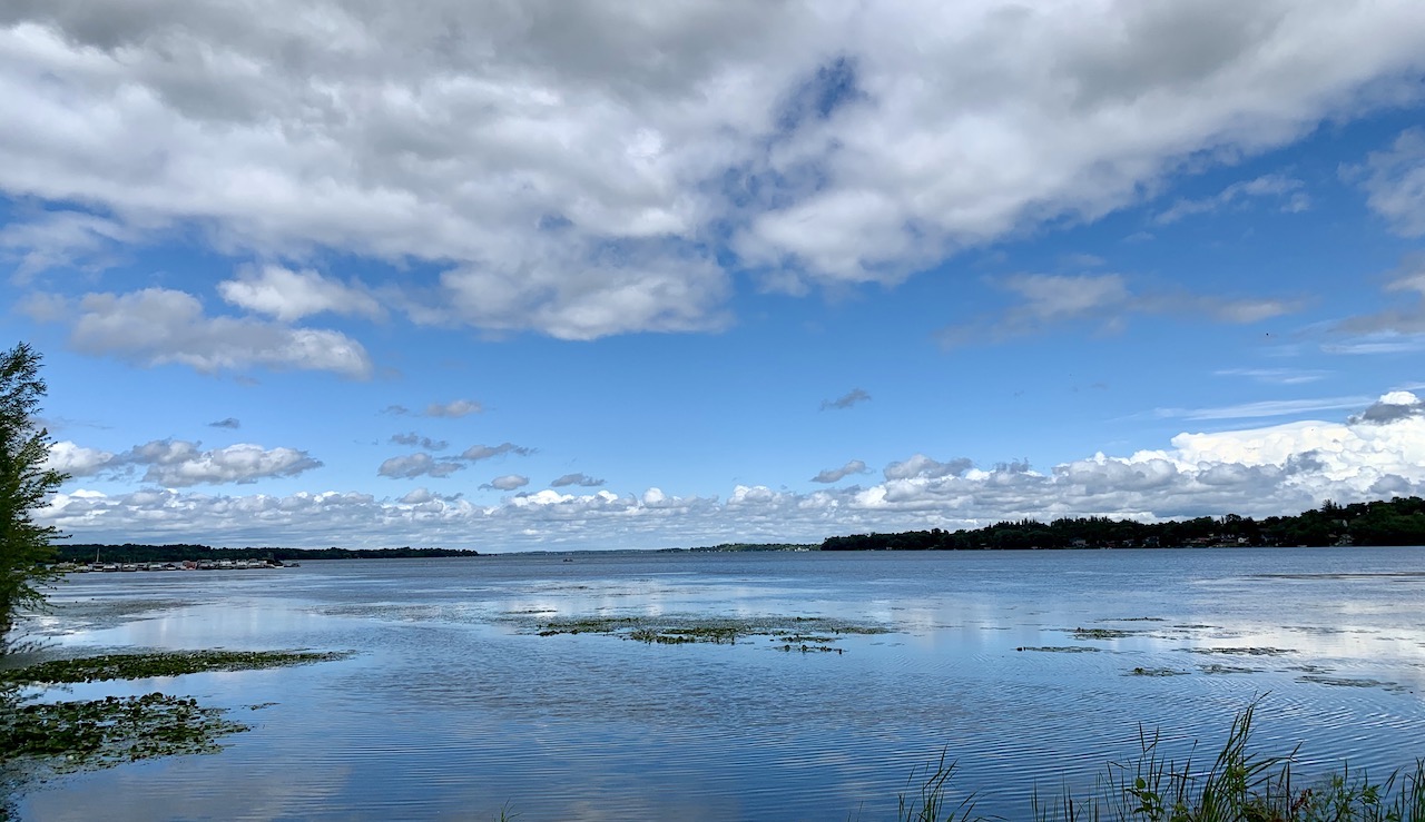 Lake Scugog looking north