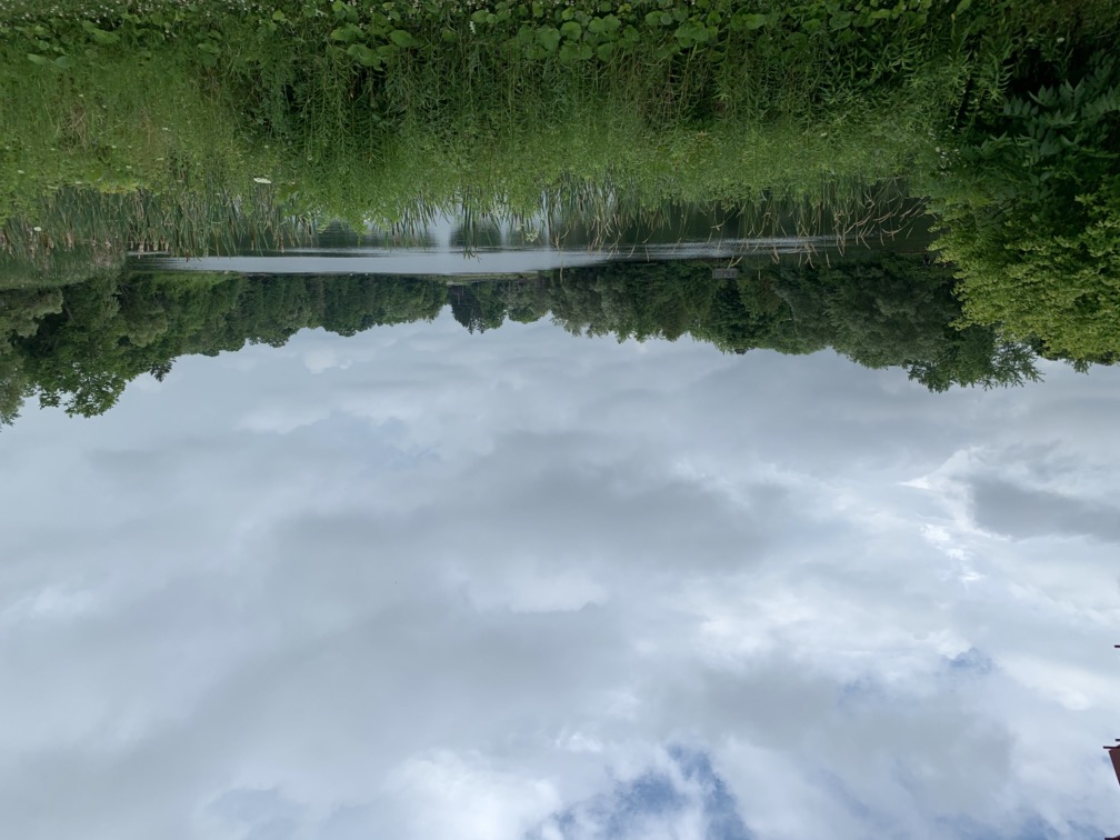 Elgin Pond